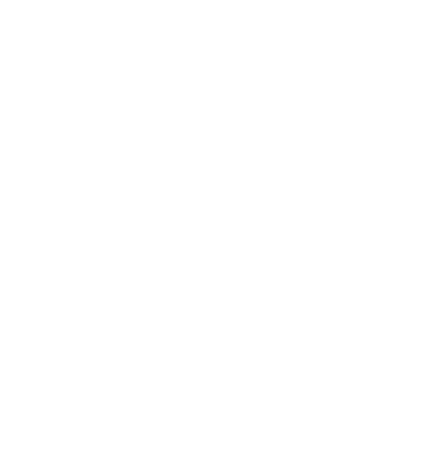 C21 Seal